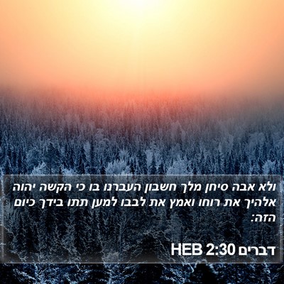 דברים 2:30 HEB Bible Verse Image