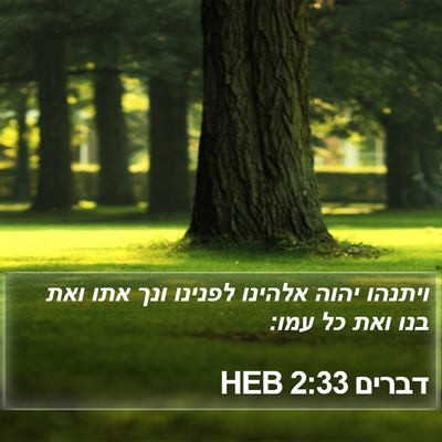 דברים 2:33 HEB Bible Verse Image