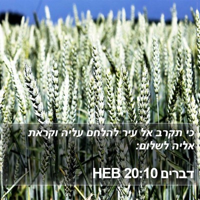 דברים 20:10 HEB Bible Verse Image
