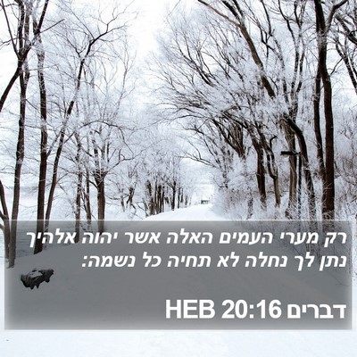 דברים 20:16 HEB Bible Verse Image