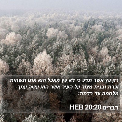 דברים 20:20 HEB Bible Verse Image