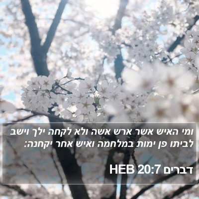 דברים 20:7 HEB Bible Verse Image