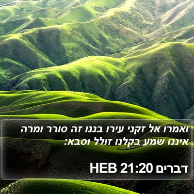 דברים 21:20 HEB Bible Verse Image