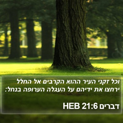 דברים 21:6 HEB Bible Verse Image