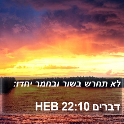 דברים 22:10 HEB Bible Verse Image