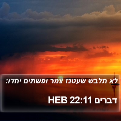 דברים 22:11 HEB Bible Verse Image