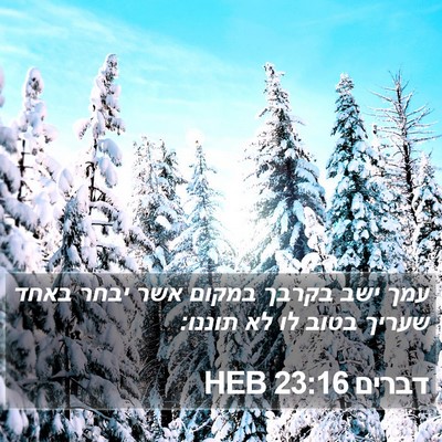 דברים 23:16 HEB Bible Verse Image