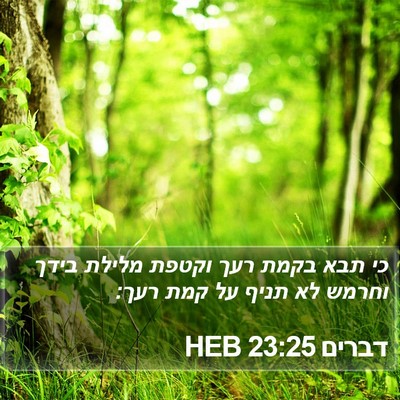 דברים 23:25 HEB Bible Verse Image