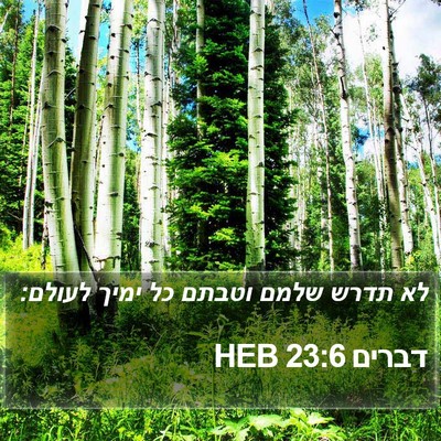 דברים 23:6 HEB Bible Verse Image