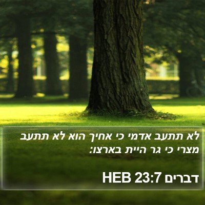 דברים 23:7 HEB Bible Verse Image
