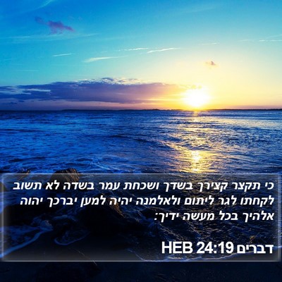 דברים 24:19 HEB Bible Verse Image