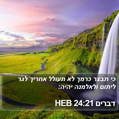 דברים 24:21 HEB Bible Verse Image