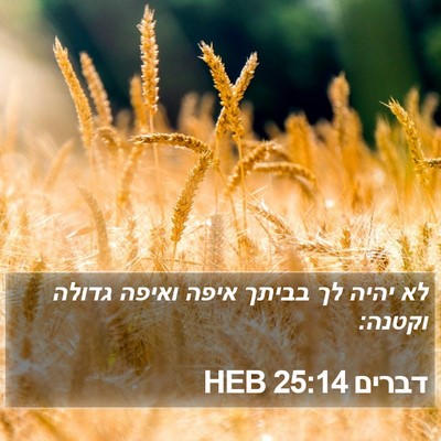 דברים 25:14 HEB Bible Verse Image