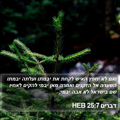 דברים 25:7 HEB Bible Verse Image
