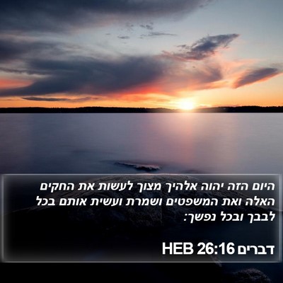 דברים 26:16 HEB Bible Verse Image