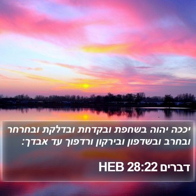 דברים 28:22 HEB Bible Verse Image