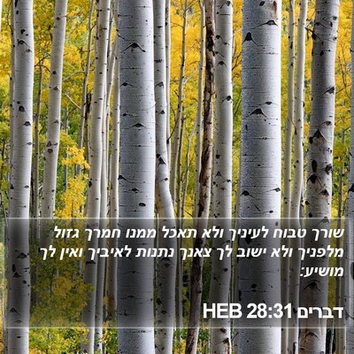 דברים 28:31 HEB Bible Verse Image