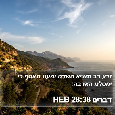 דברים 28:38 HEB Bible Verse Image