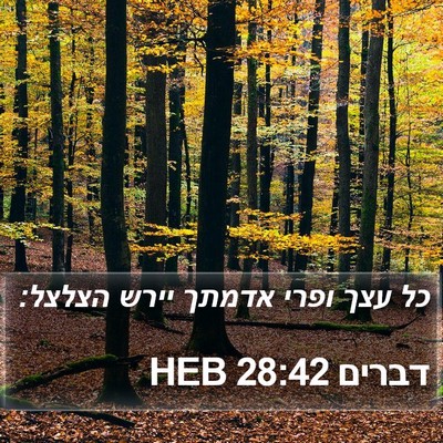 דברים 28:42 HEB Bible Verse Image