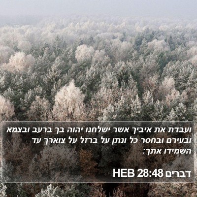 דברים 28:48 HEB Bible Verse Image