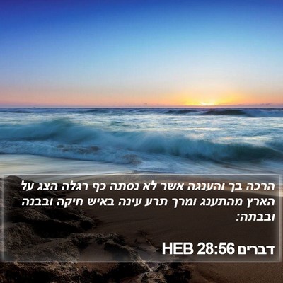 דברים 28:56 HEB Bible Verse Image