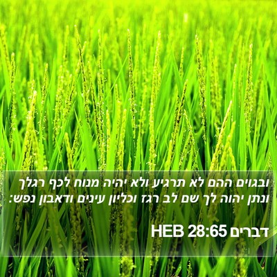 דברים 28:65 HEB Bible Verse Image