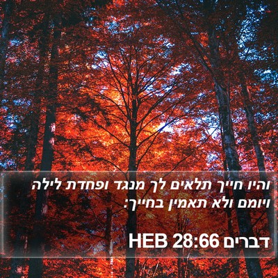 דברים 28:66 HEB Bible Verse Image