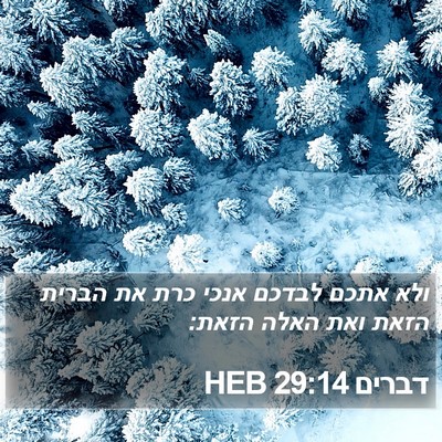 דברים 29:14 HEB Bible Verse Image