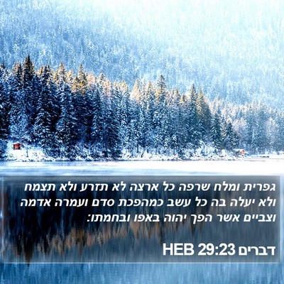 דברים 29:23 HEB Bible Verse Image