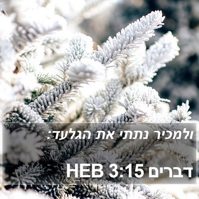 דברים 3:15 HEB Bible Verse Image