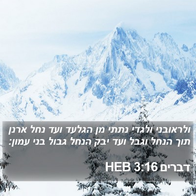 דברים 3:16 HEB Bible Verse Image