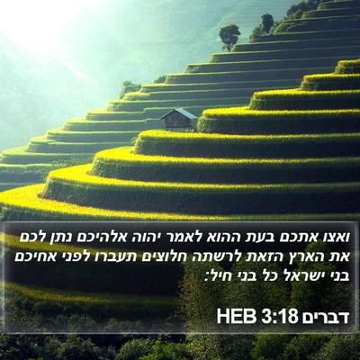 דברים 3:18 HEB Bible Verse Image