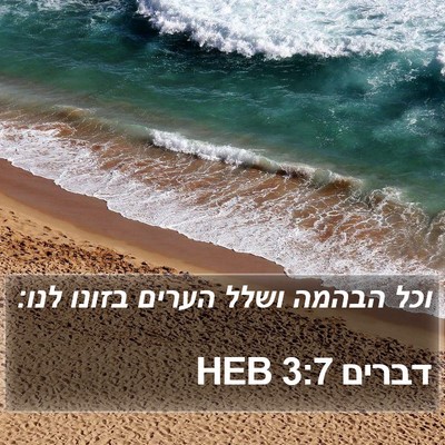 דברים 3:7 HEB Bible Verse Image