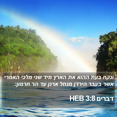 דברים 3:8 HEB Bible Verse Image
