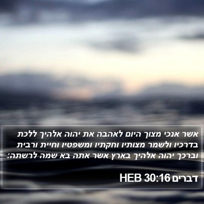 דברים 30:16 HEB Bible Verse Image