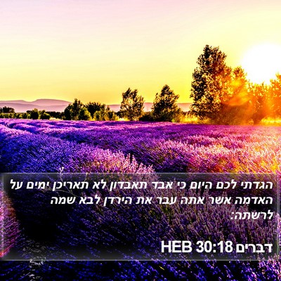 דברים 30:18 HEB Bible Verse Image