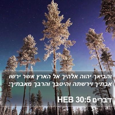 דברים 30:5 HEB Bible Verse Image