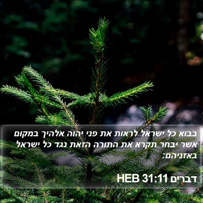 דברים 31:11 HEB Bible Verse Image