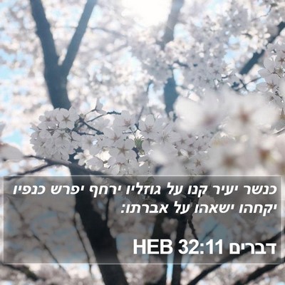 דברים 32:11 HEB Bible Verse Image