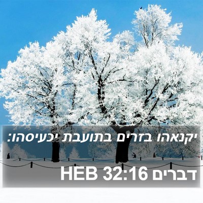 דברים 32:16 HEB Bible Verse Image