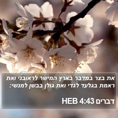 דברים 4:43 HEB Bible Verse Image