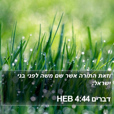 דברים 4:44 HEB Bible Verse Image