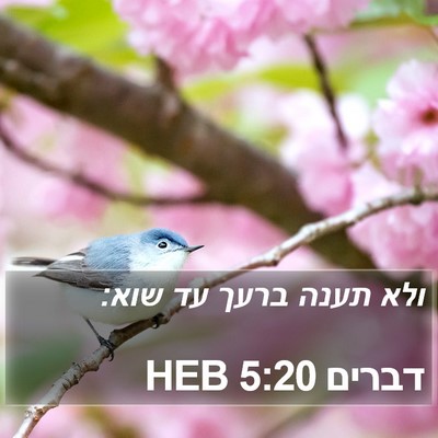 דברים 5:20 HEB Bible Verse Image