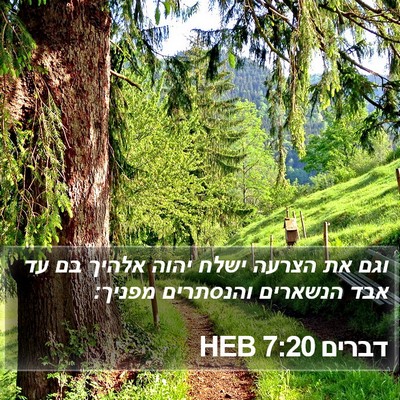 דברים 7:20 HEB Bible Verse Image