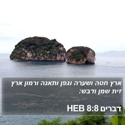 דברים 8:8 HEB Bible Verse Image