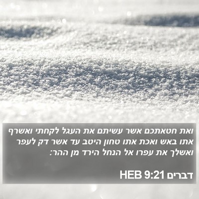 דברים 9:21 HEB Bible Verse Image