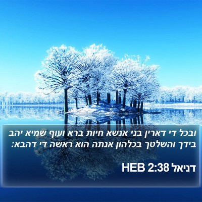 דניאל 2:38 HEB Bible Verse Image