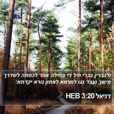 דניאל 3:20 HEB Bible Verse Image