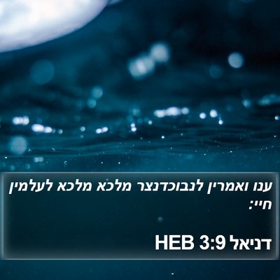 דניאל 3:9 HEB Bible Verse Image