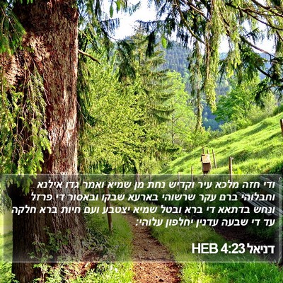 דניאל 4:23 HEB Bible Verse Image